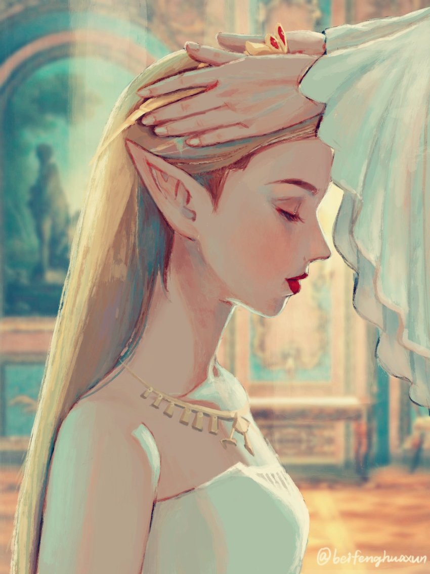 Princess Zelda (Nintendo) Rule 34 Image