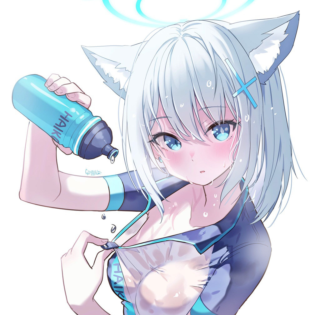Shiroko (Blue Archive) Rule 34 Image
