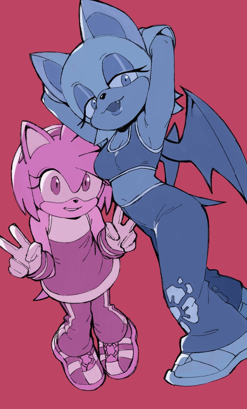 Amy Rose (Sonic (Series)) Rule 34 Image