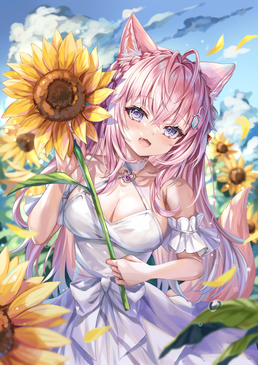 Hakui Koyori (Hololive) Rule 34 Image