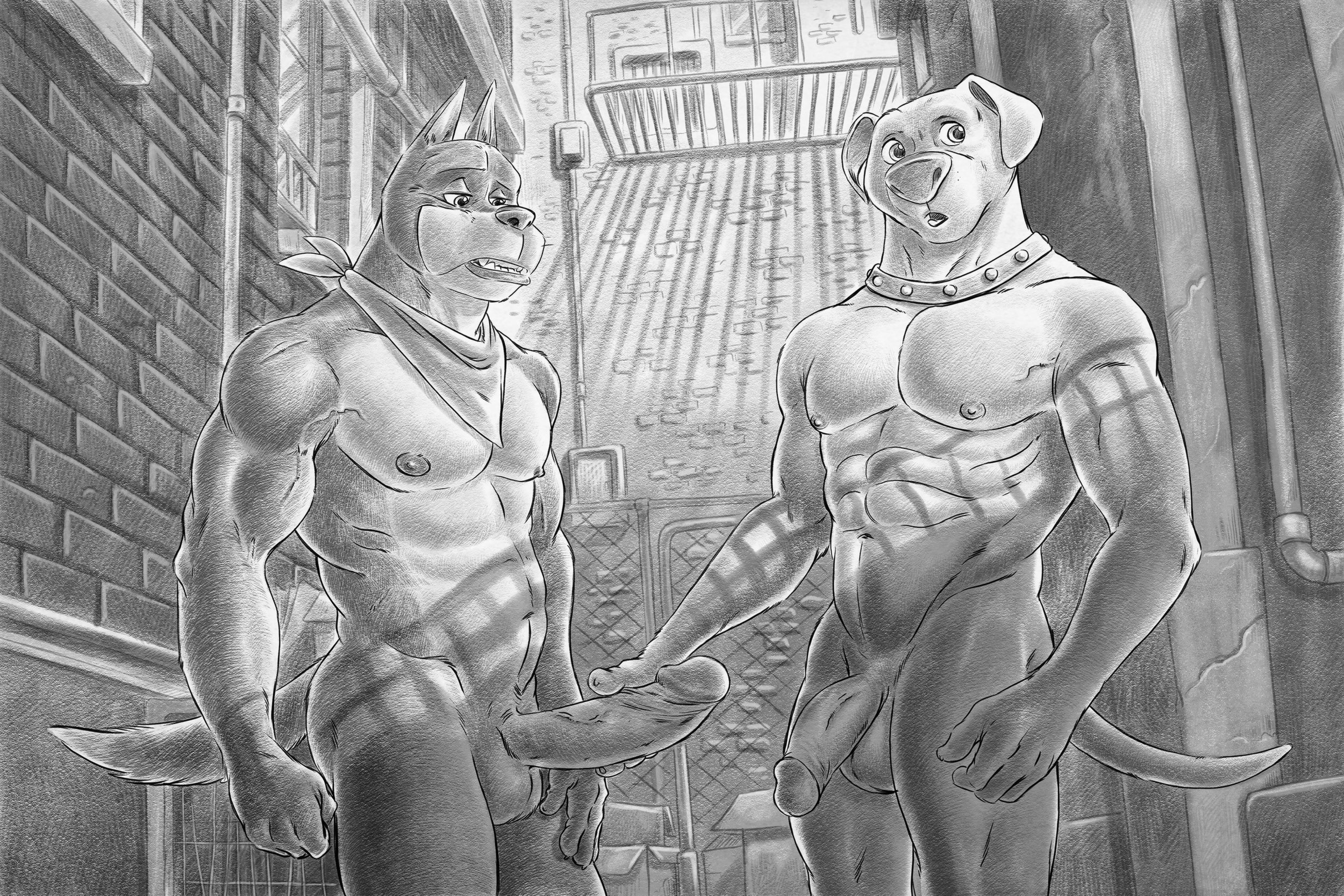 Dc Rule 34 Image