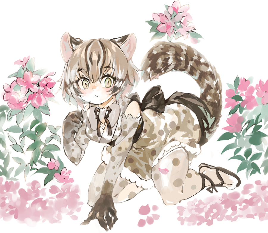 Tsushima Leopard Cat (Kemono Friends) Rule 34 Image