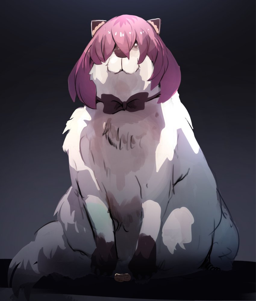 Anya (Spy X Family) Rule 34 Image
