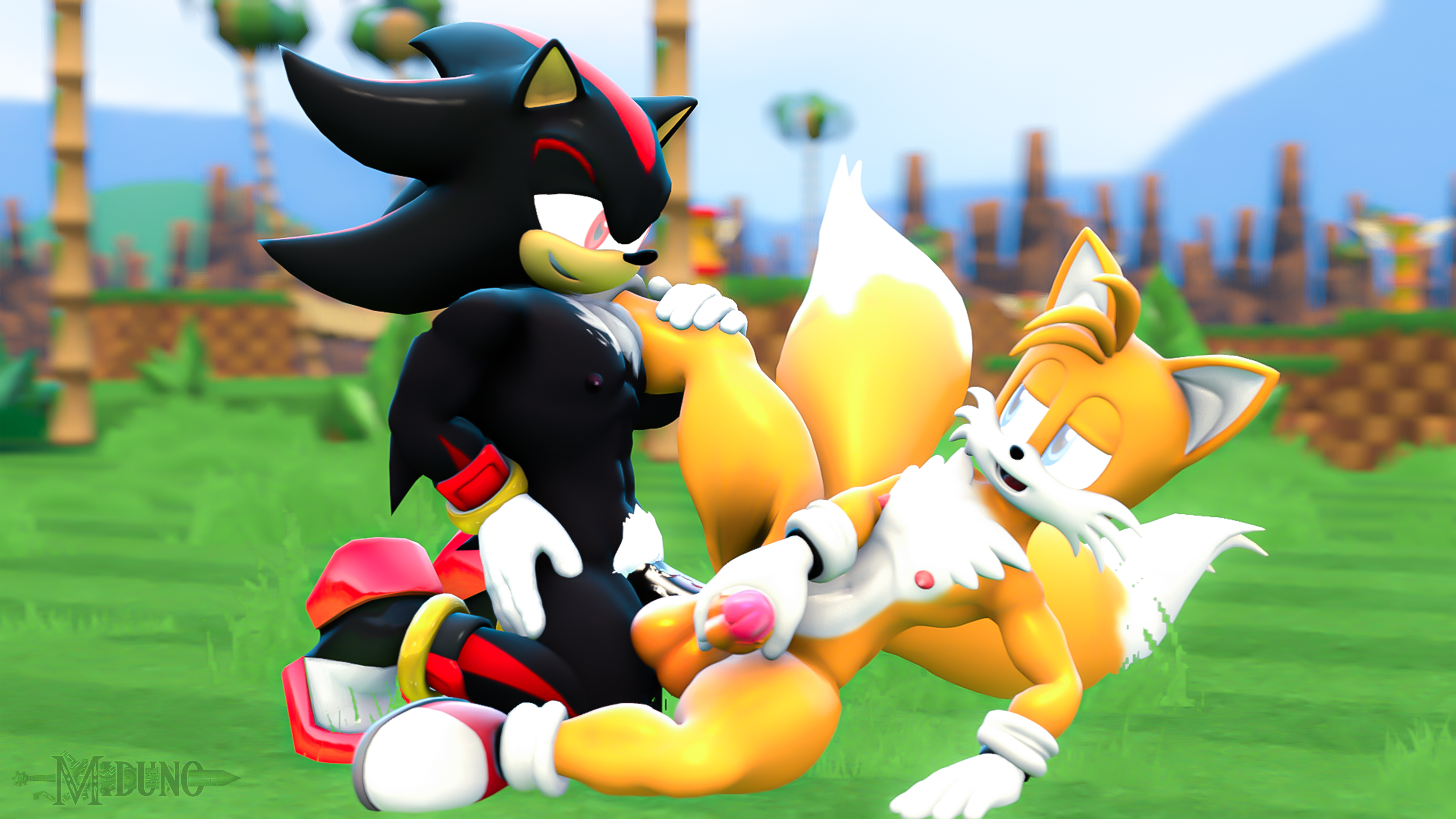 Shadow The Hedgehog (Sega) Rule 34 Image