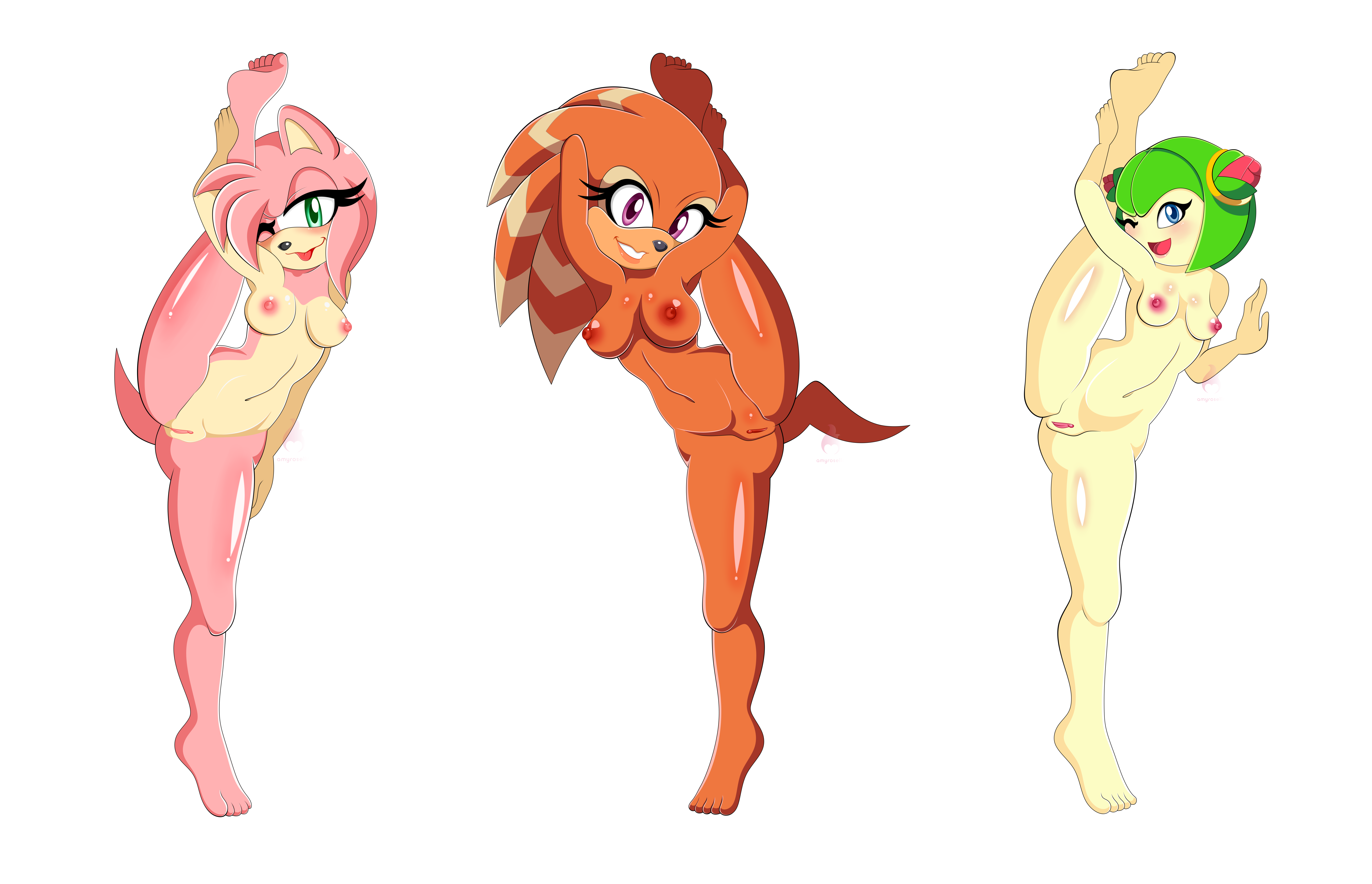 Amy Rose (Sega) Rule 34 Image