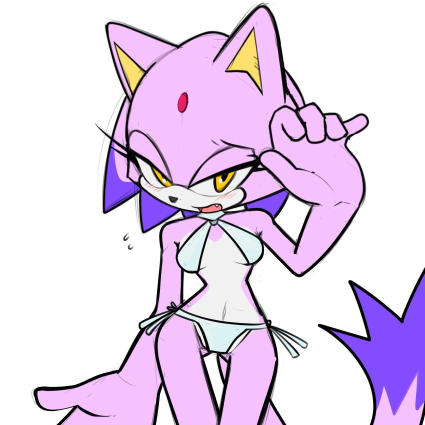 Blaze The Cat (Sonic (Series)) Rule 34 Image