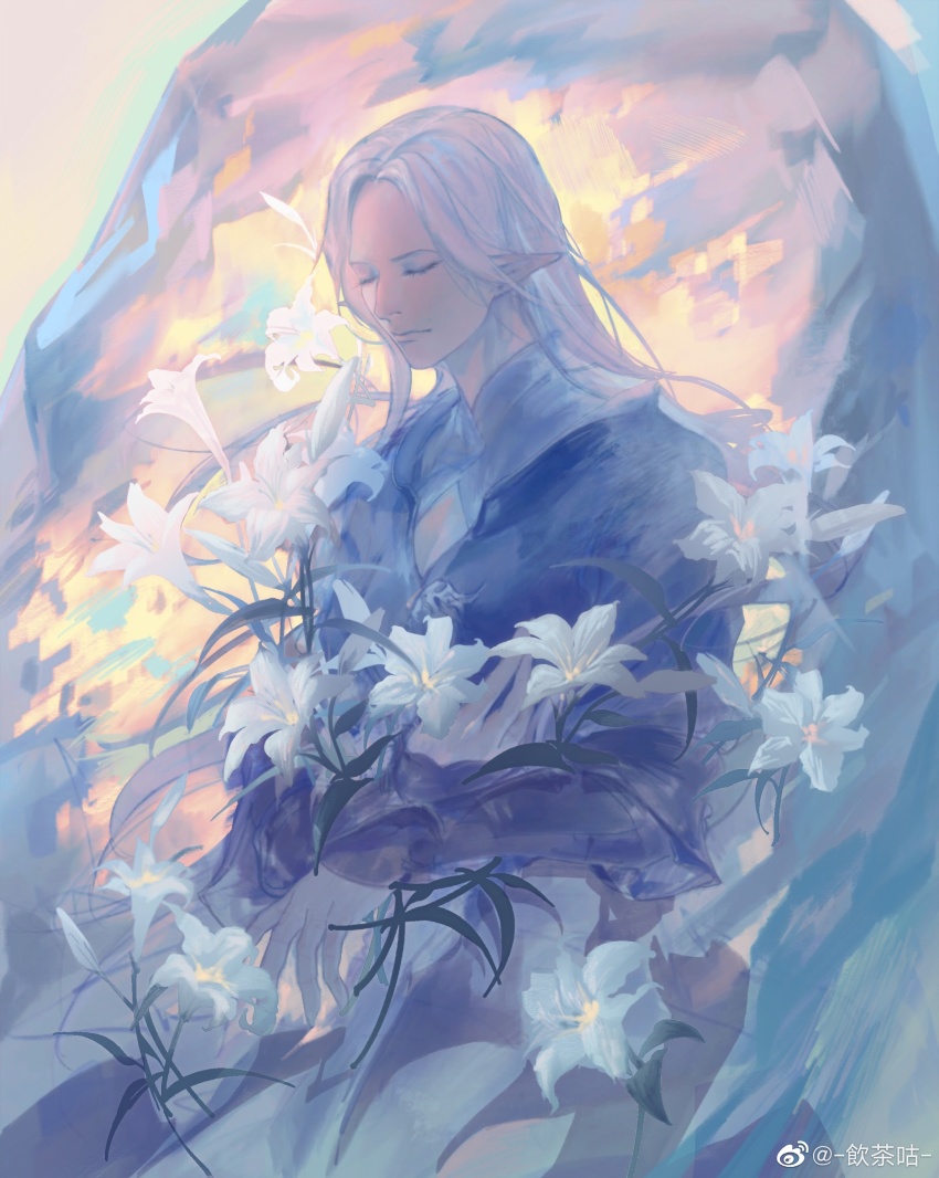 Elezen (Final Fantasy) Rule 34 Image