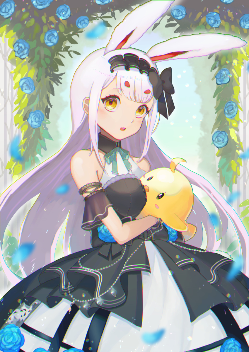 Alice'S Adventures In Wonderland (Azur Lane) Rule 34 Image