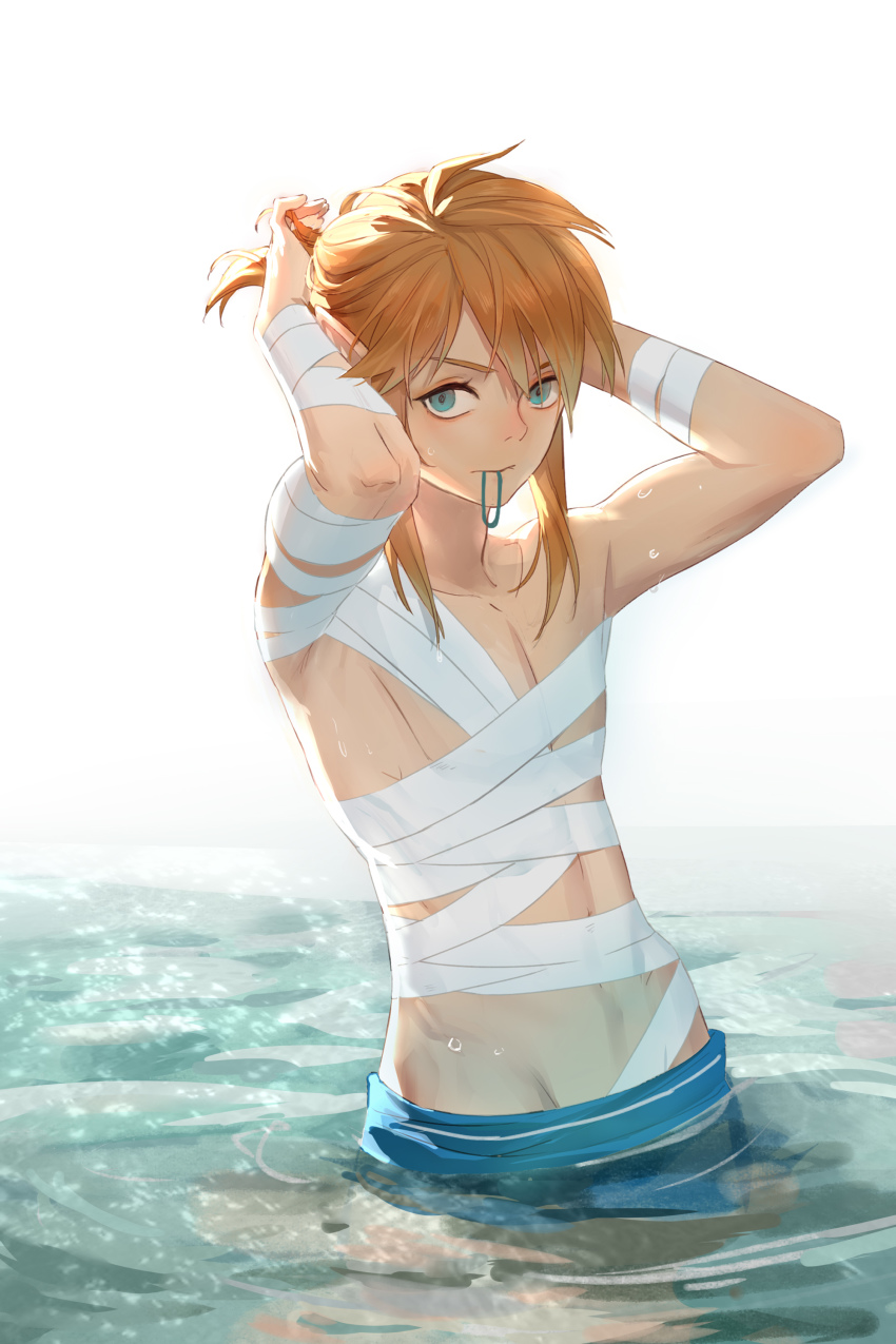 Link (Nintendo) Rule 34 Image