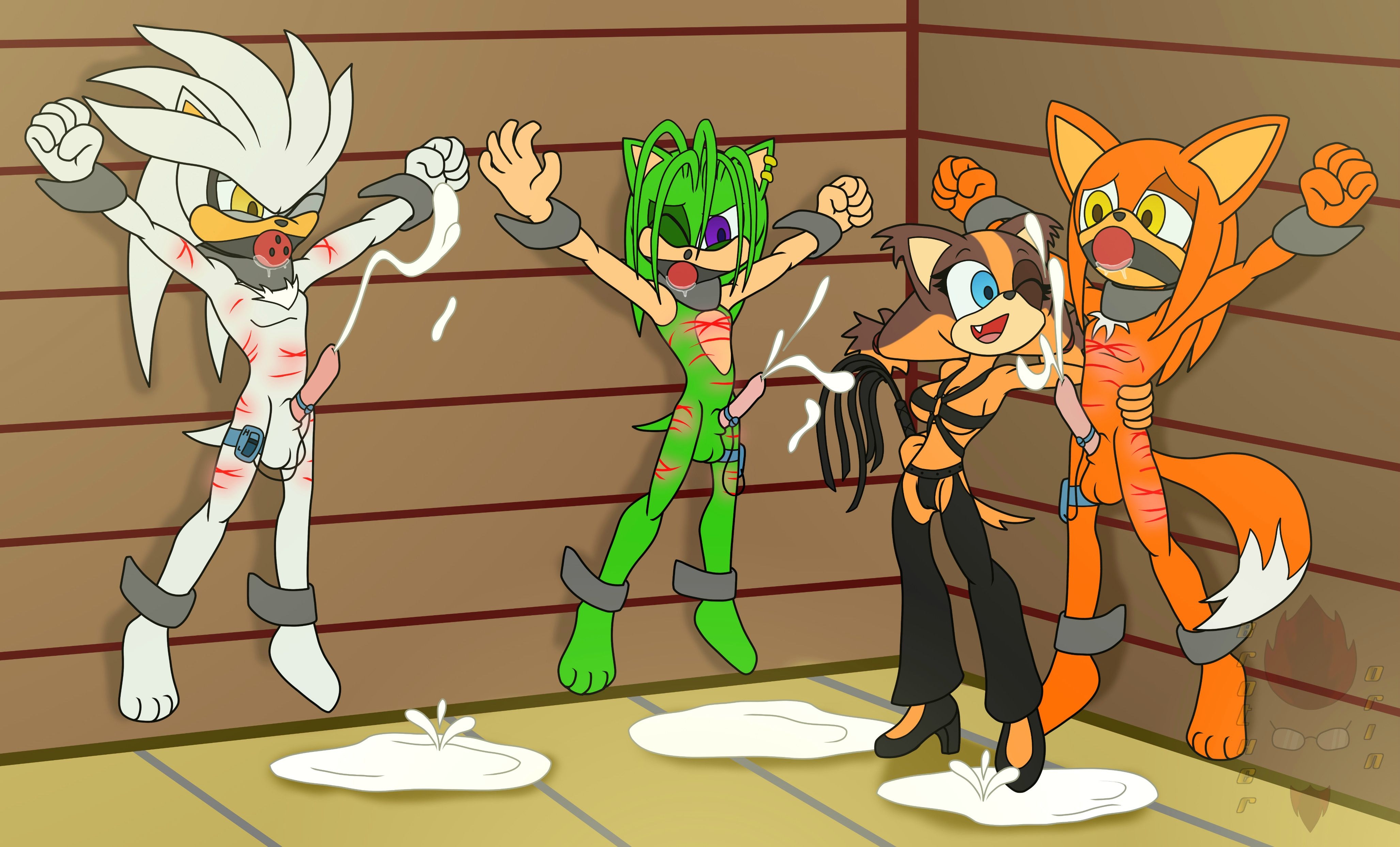Manic The Hedgehog (Sonic (Series)) Rule 34 Image
