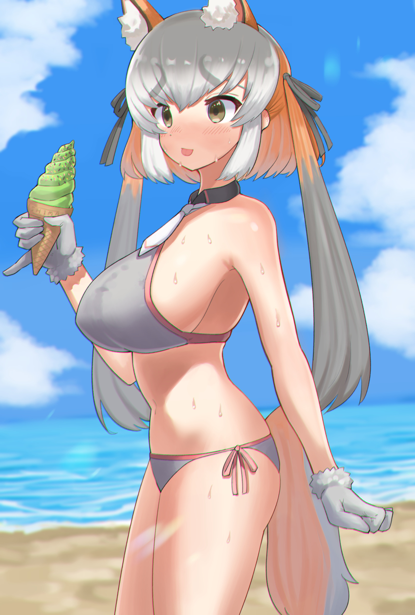 Island Fox (Kemono Friends) Rule 34 Image