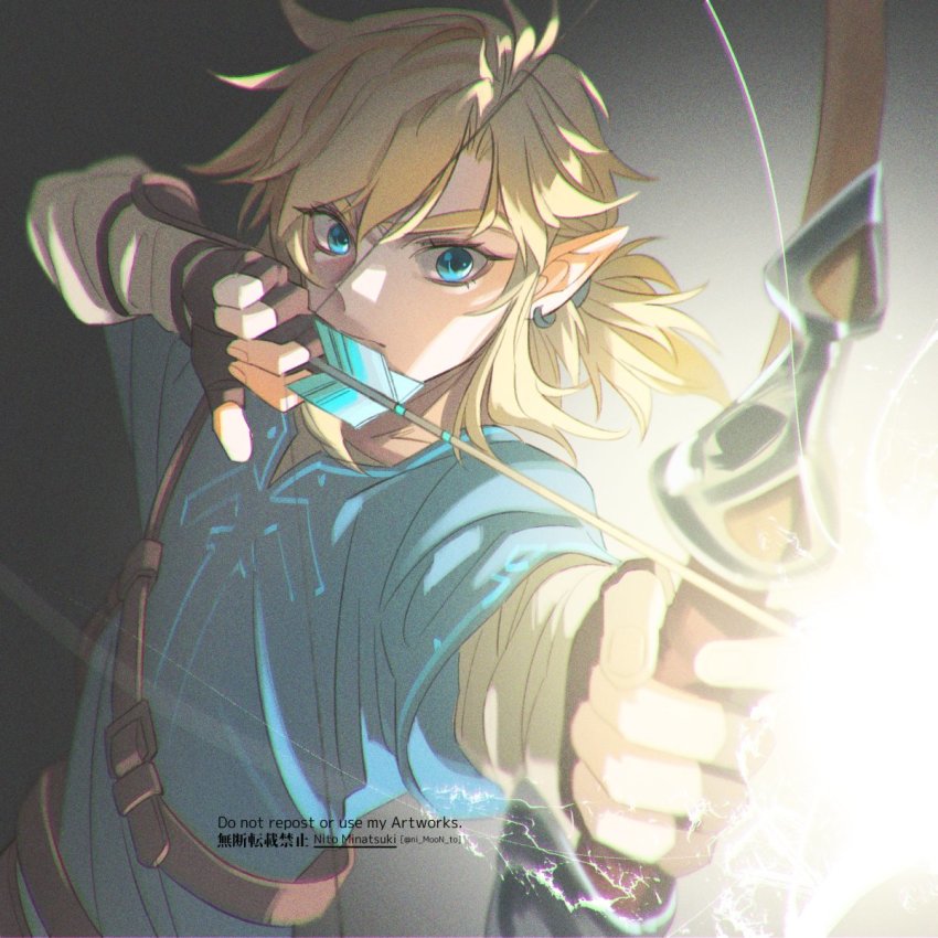 Link (Nintendo) Rule 34 Image