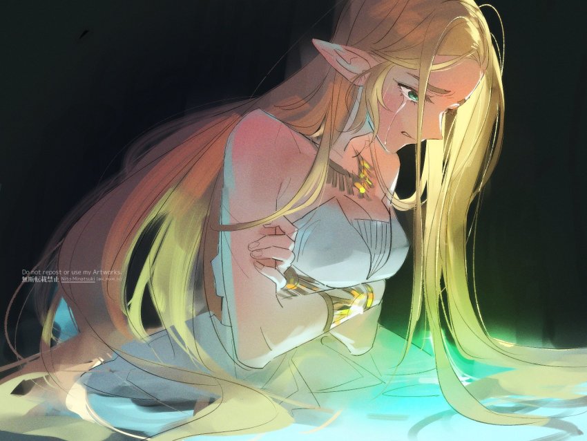 Princess Zelda (Nintendo) Rule 34 Image