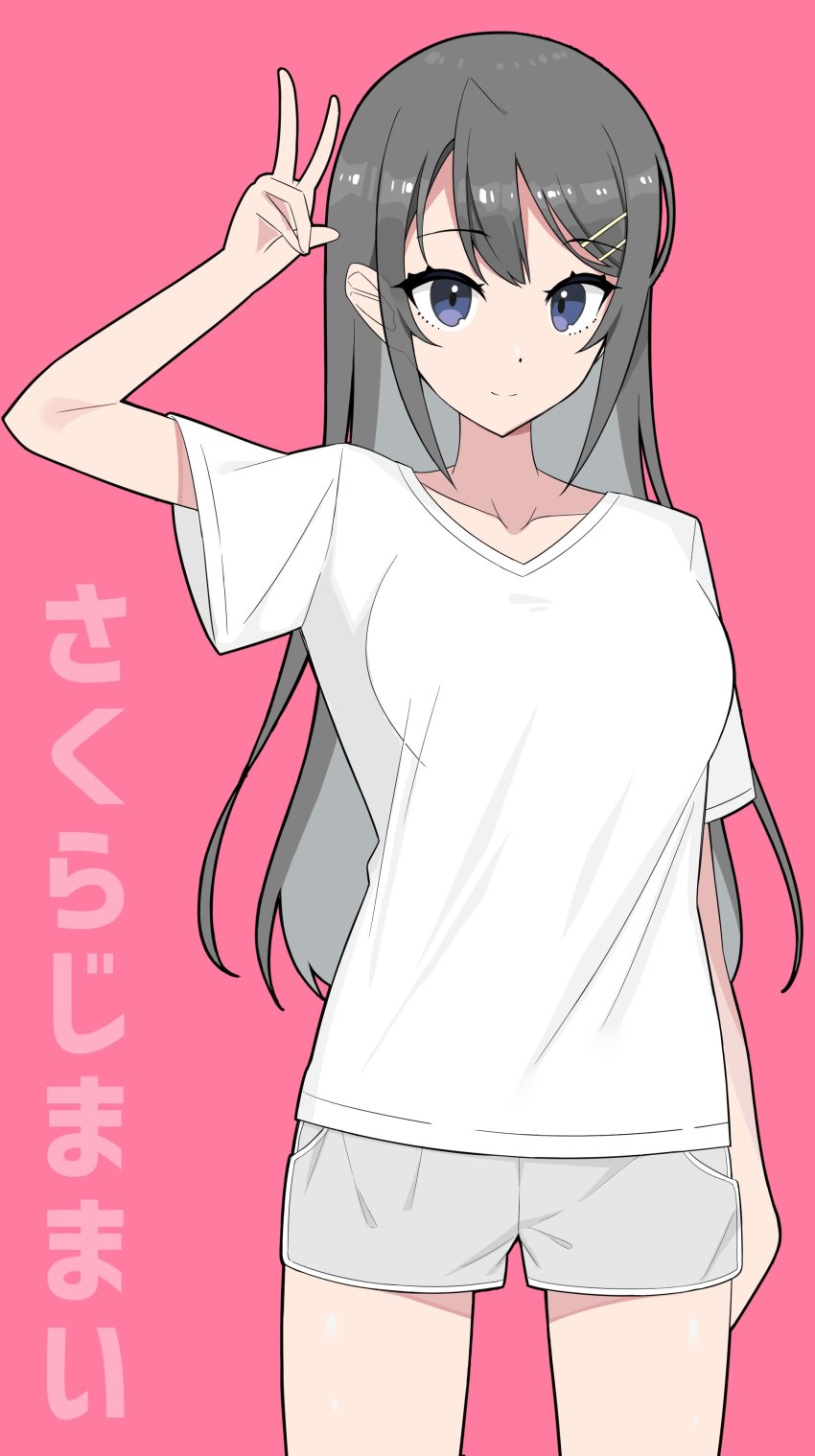 Sakurajima Mai (Seishun Buta Yarou) Rule 34 Image