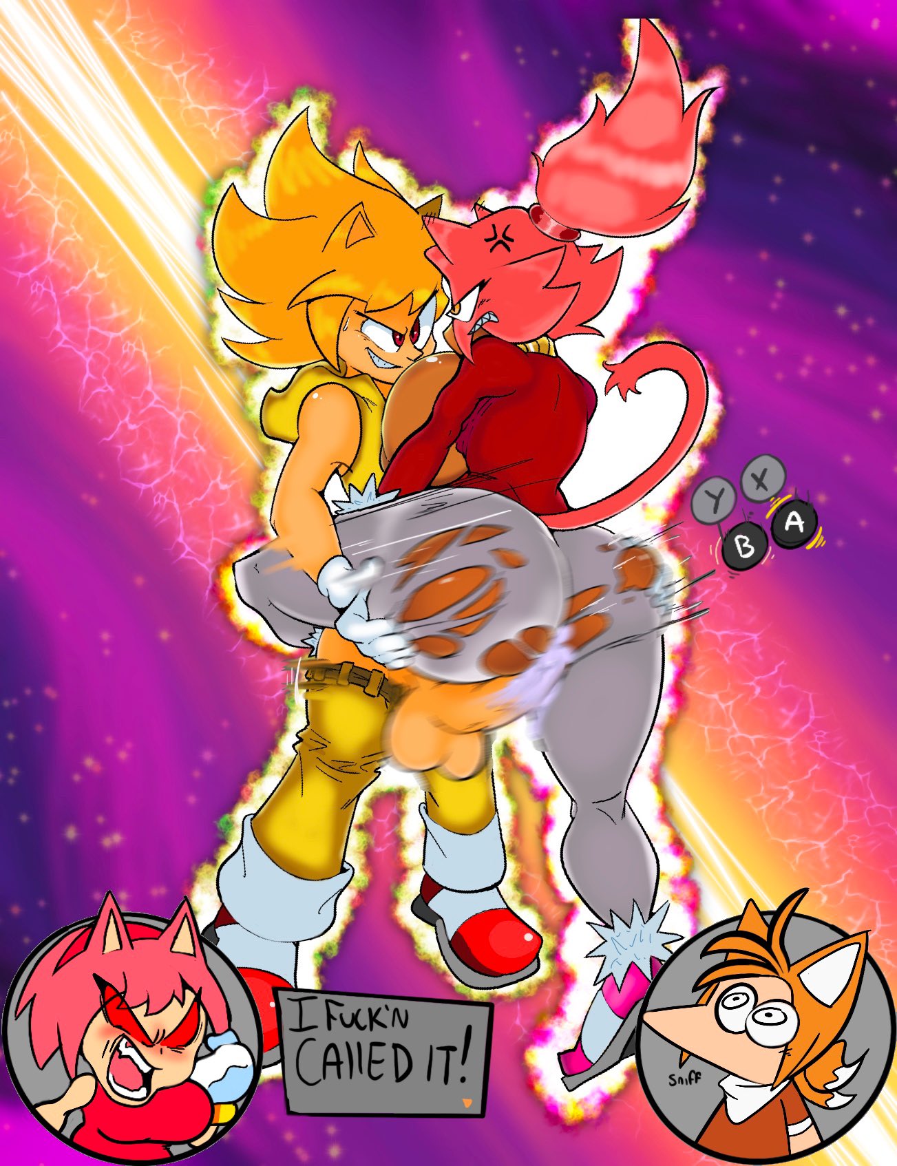 Amy Rose (Sega) Rule 34 Image