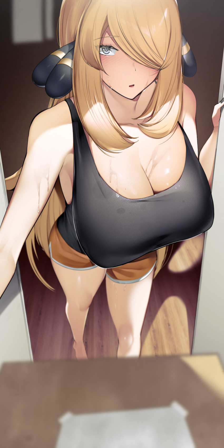 Cynthia (Pokemon) Rule 34 Image