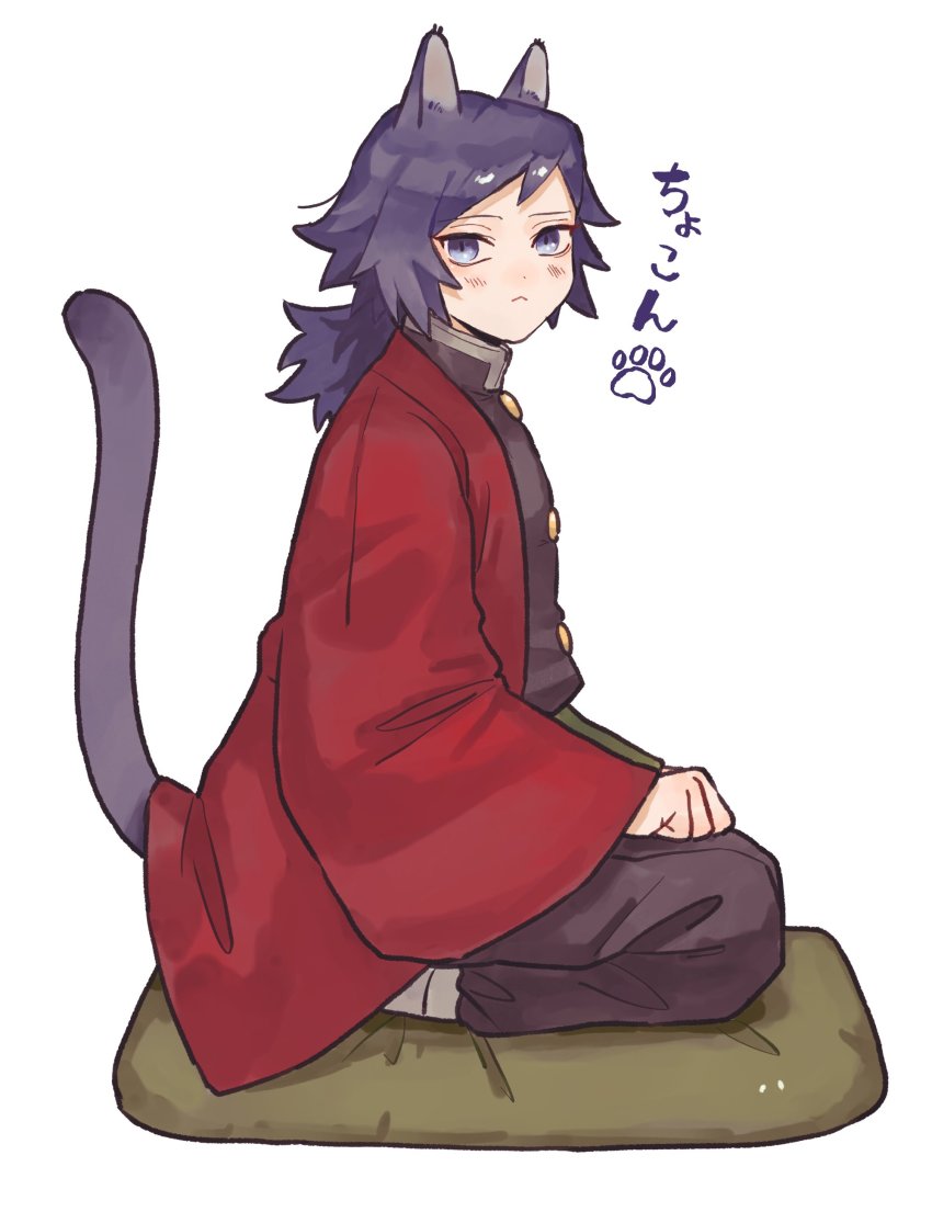 Tomioka Giyuu (Kimetsu No Yaiba) Rule 34 Image