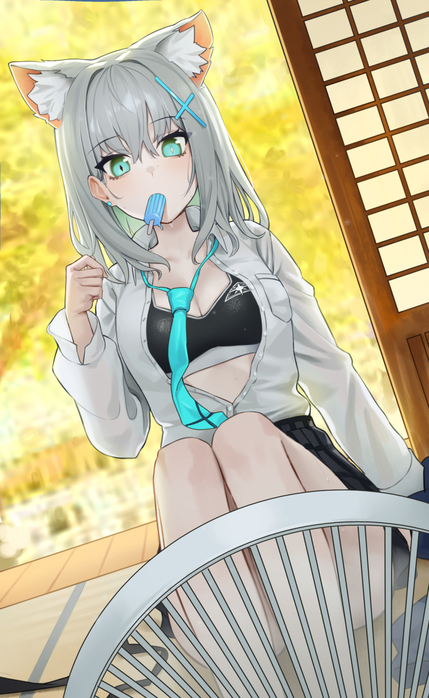 Shiroko (Blue Archive) Rule 34 Image
