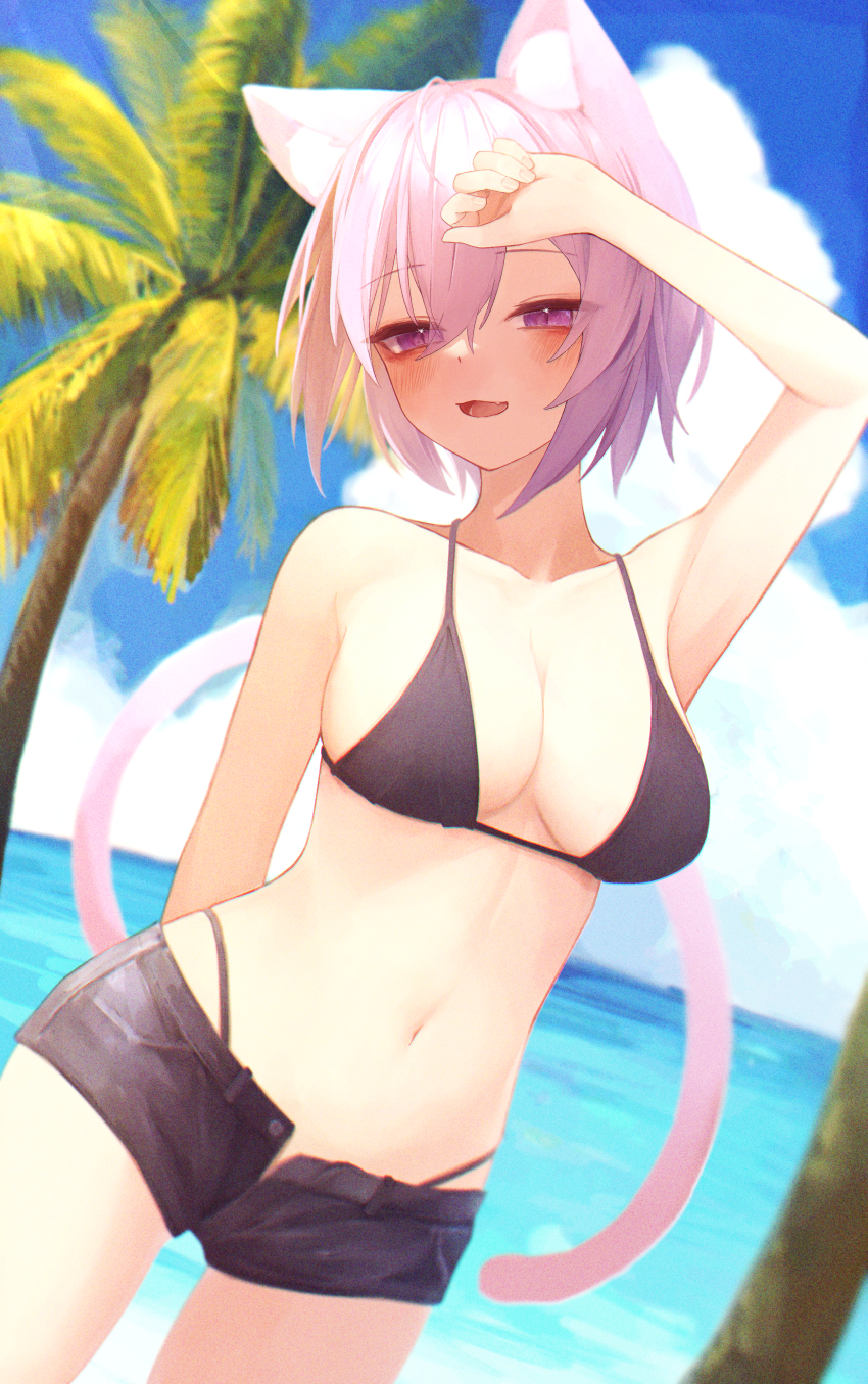 Nekomata Okayu (Hololive) Rule 34 Image