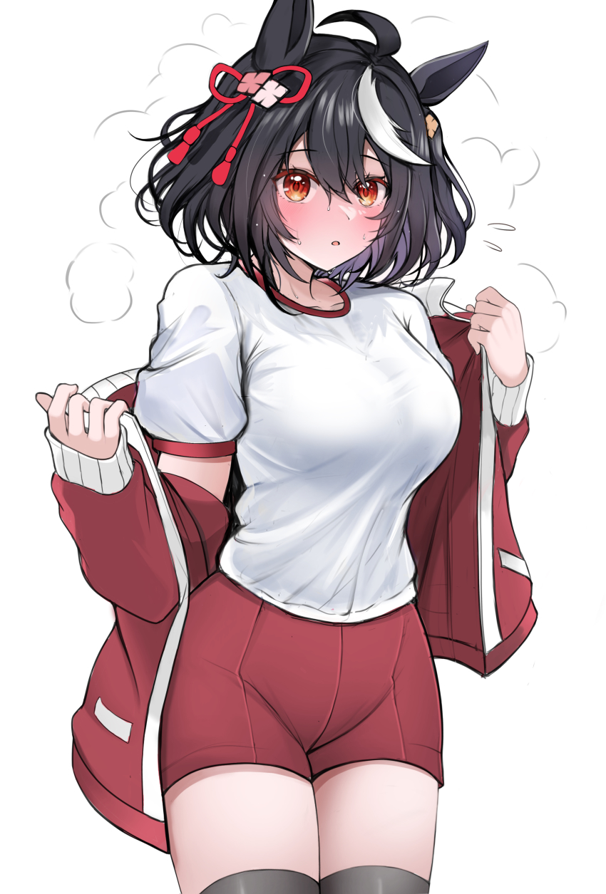 Kitasan Black (Umamusume) Rule 34 Image