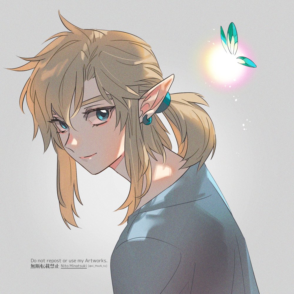 Link (Nintendo) Rule 34 Image