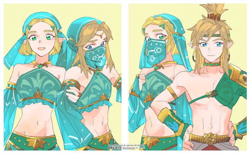 Link (Nintendo) Rule 34 Image