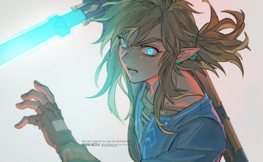 Link (Nintendo) Rule 34 Image