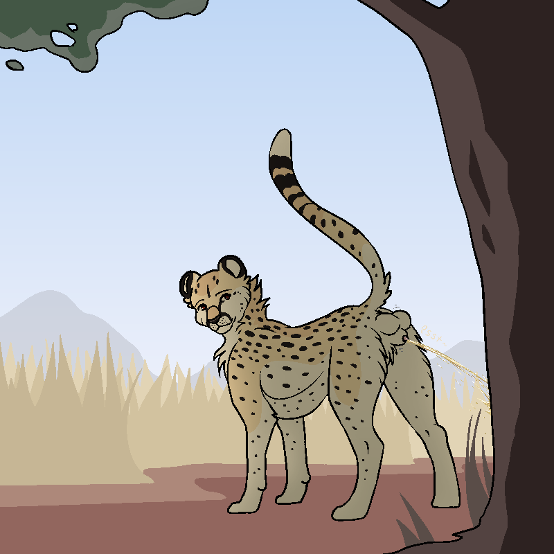 Animal Genitalia Rule 34 Image