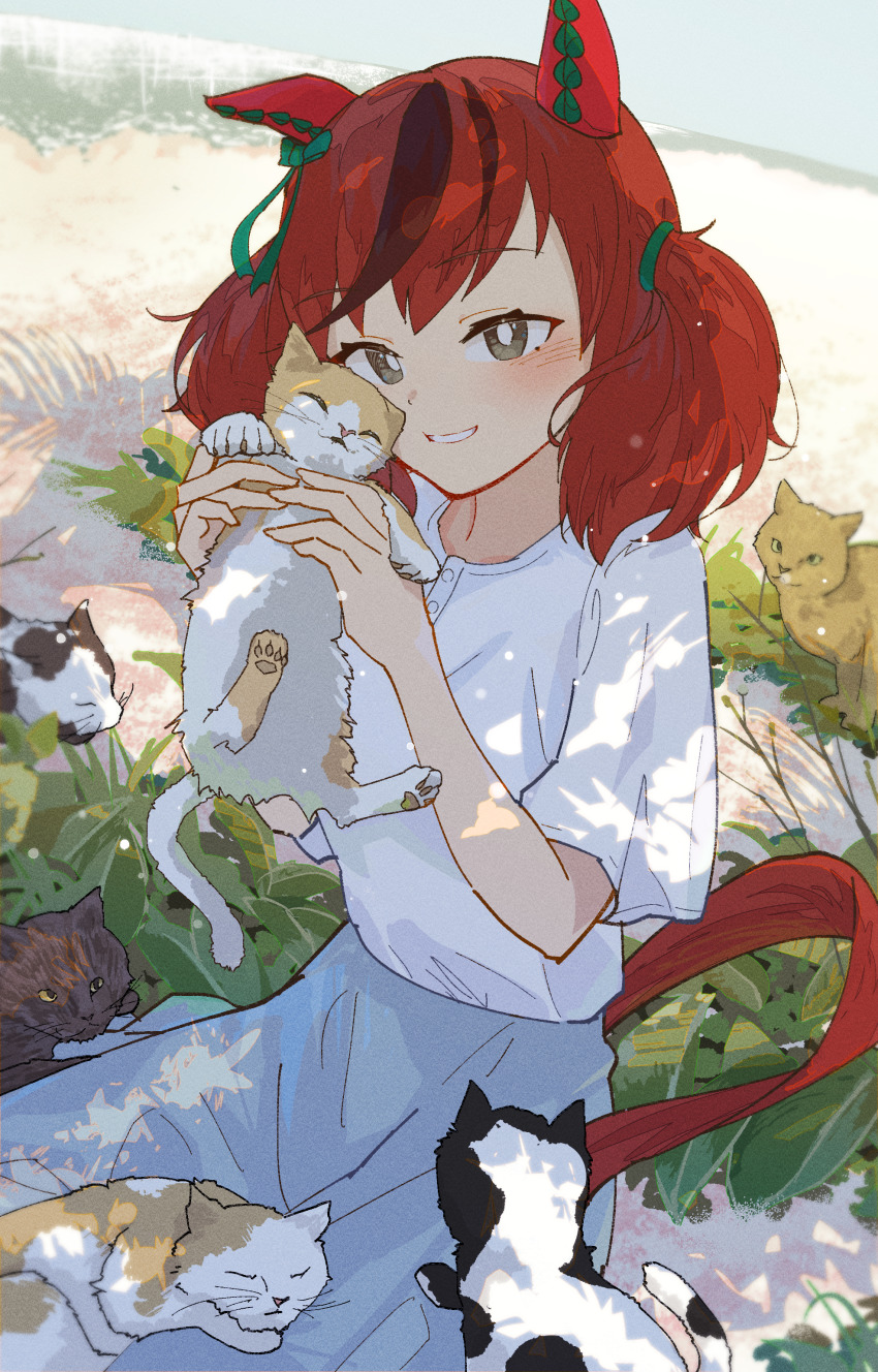 Nice Nature (Umamusume) Rule 34 Image