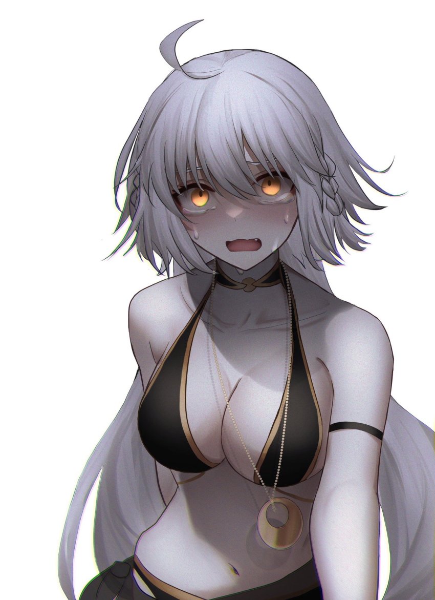 Jeanne D'Arc Alter (Fate) Rule 34 Image