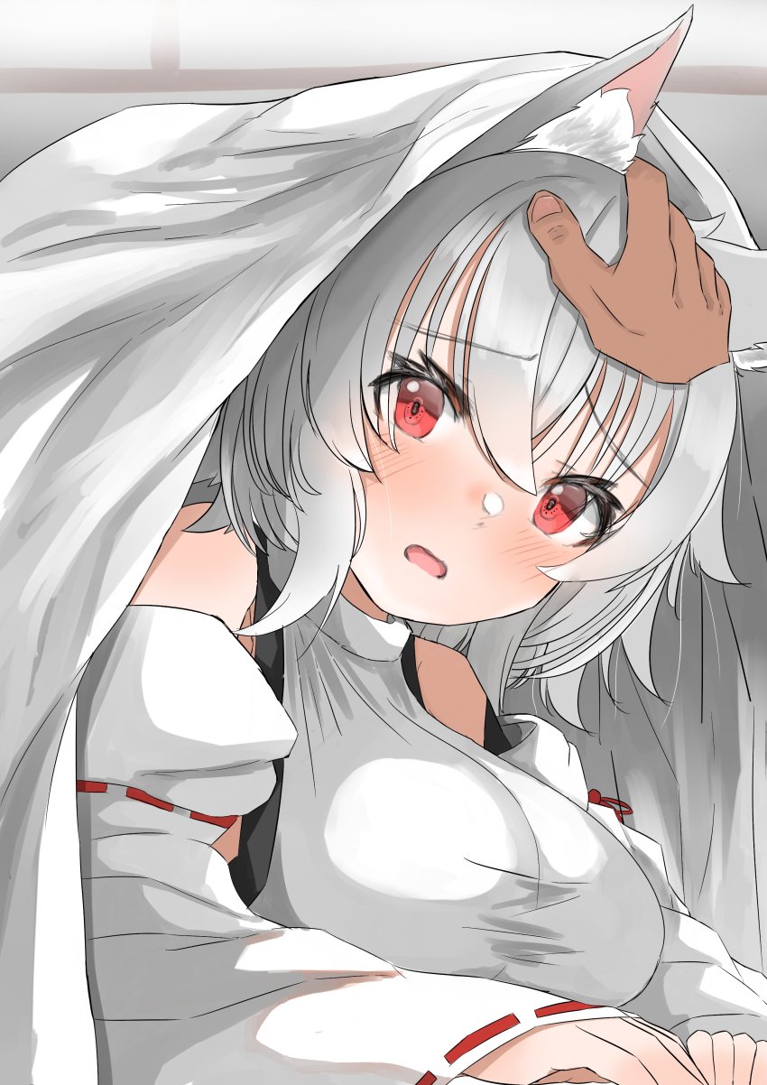 Inubashiri Momiji (Touhou) Rule 34 Image