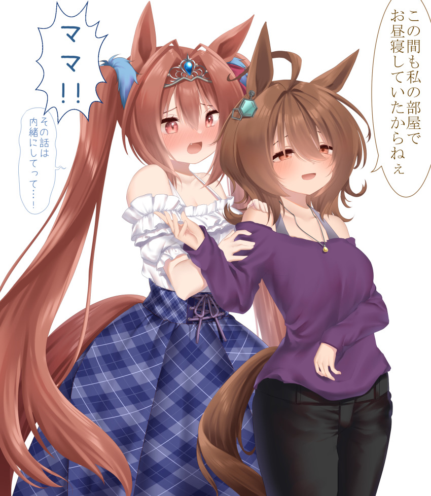 Agnes Tachyon (Umamusume) Rule 34 Image