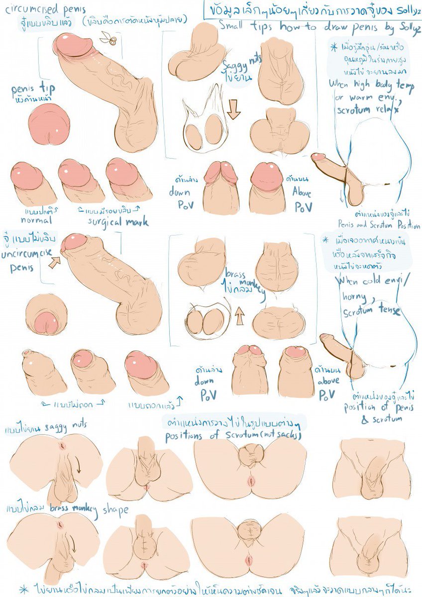 Anus Rule 34 Image