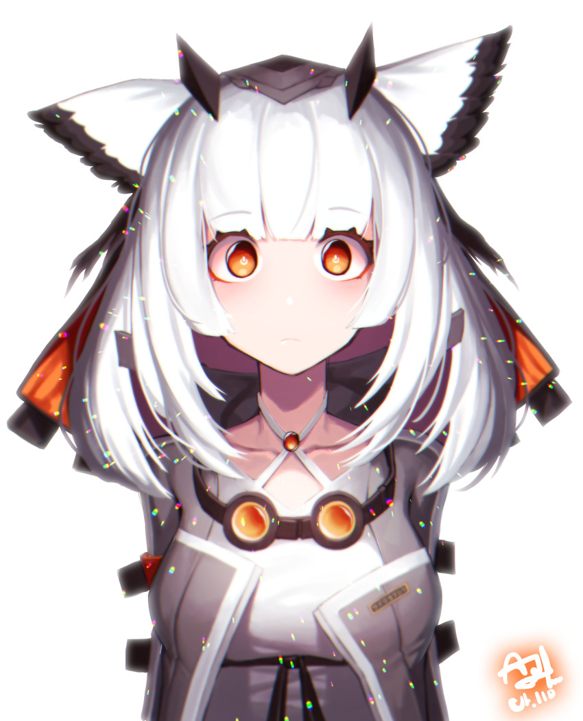 Ptilopsis (Arknights) Rule 34 Image