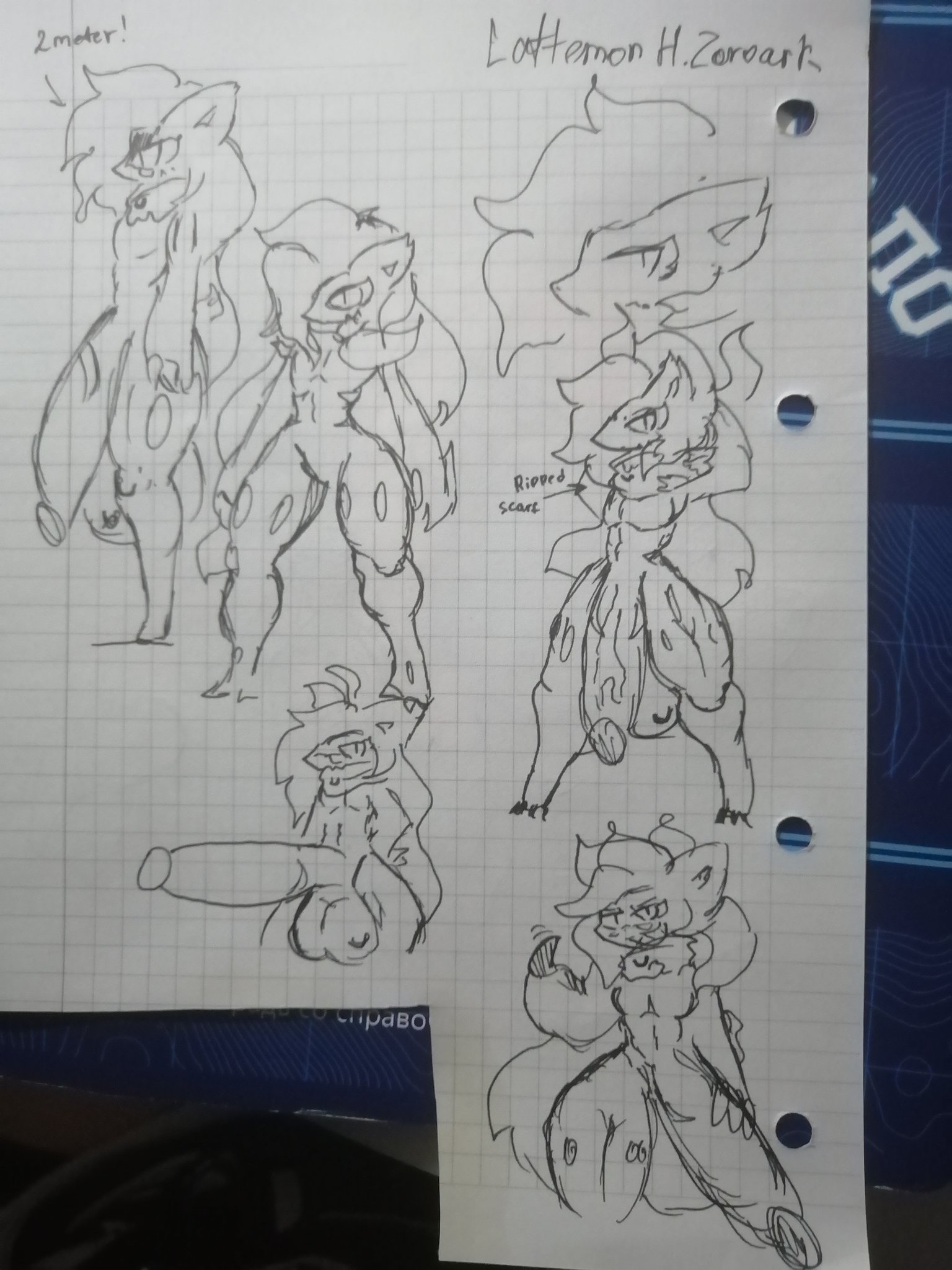 Hisuian Zoroark (Pokemon) Rule 34 Image