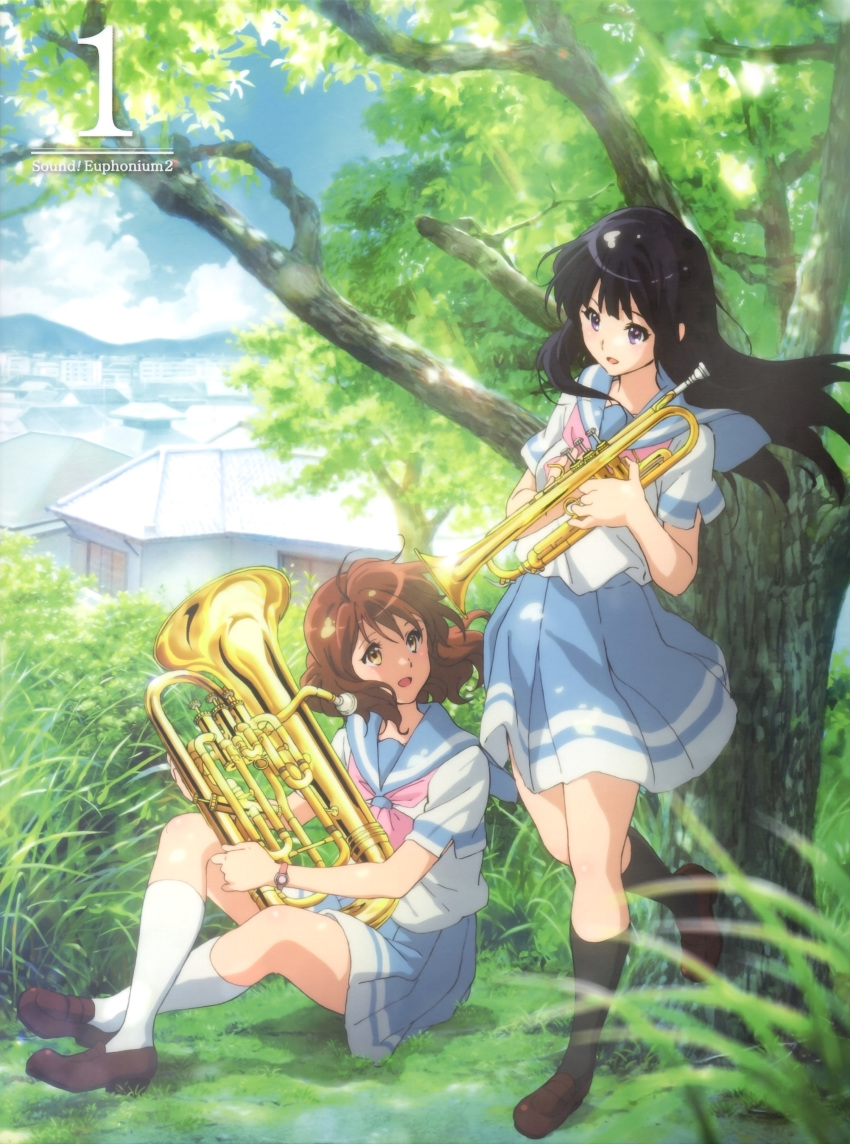 Kousaka Reina (Hibike! Euphonium) Rule 34 Image