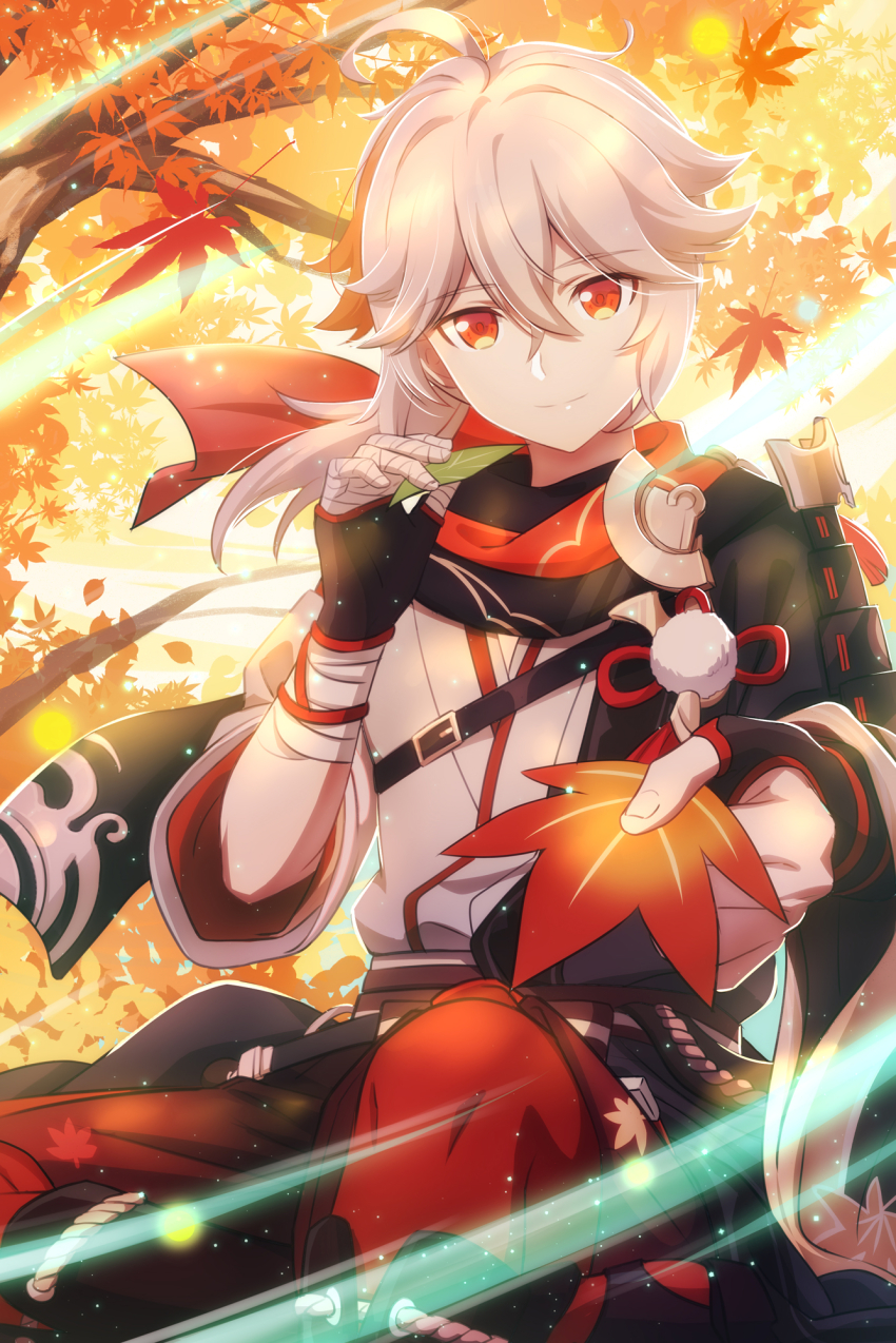 Kaedehara Kazuha (Genshin Impact) Rule 34 Image