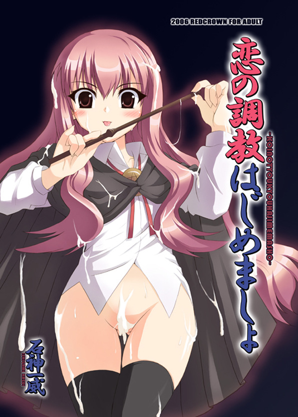 Louise Francoise Le Blanc De La Valliere (Zero No Tsukaima) Rule 34 Image