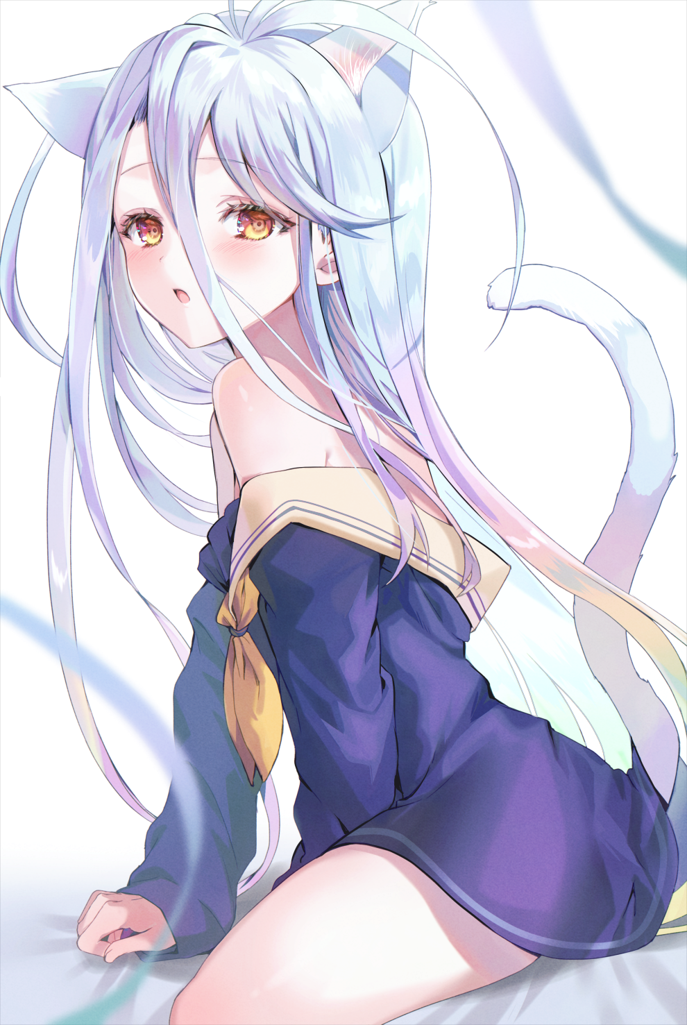 Shiro (No Game No Life) Rule 34 Image