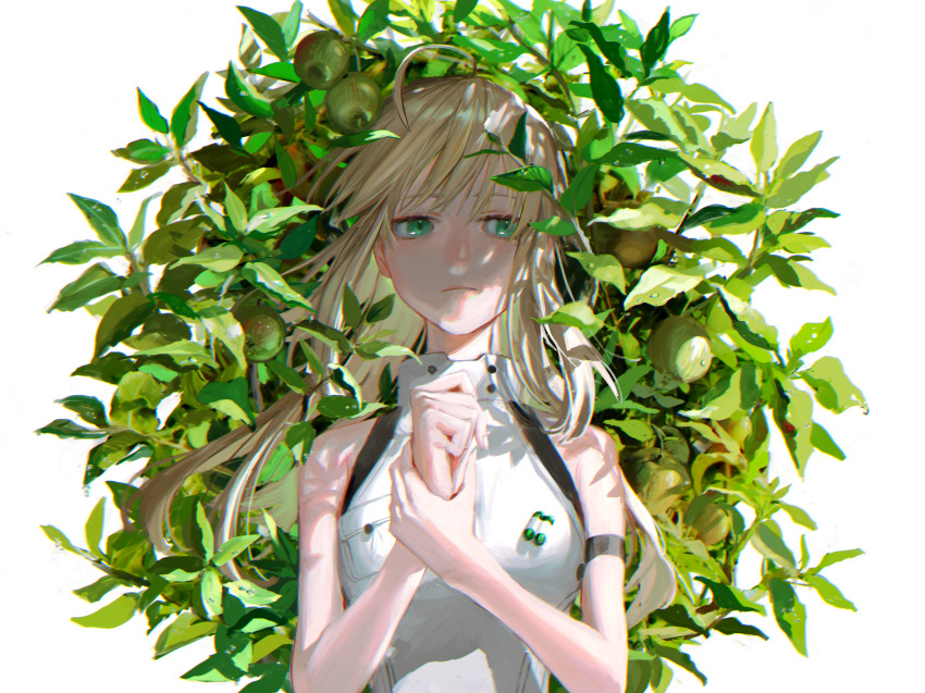 Artoria Caster (Fate) Rule 34 Image