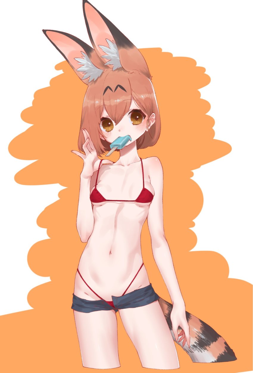 Serval (Kemono Friends) Rule 34 Image