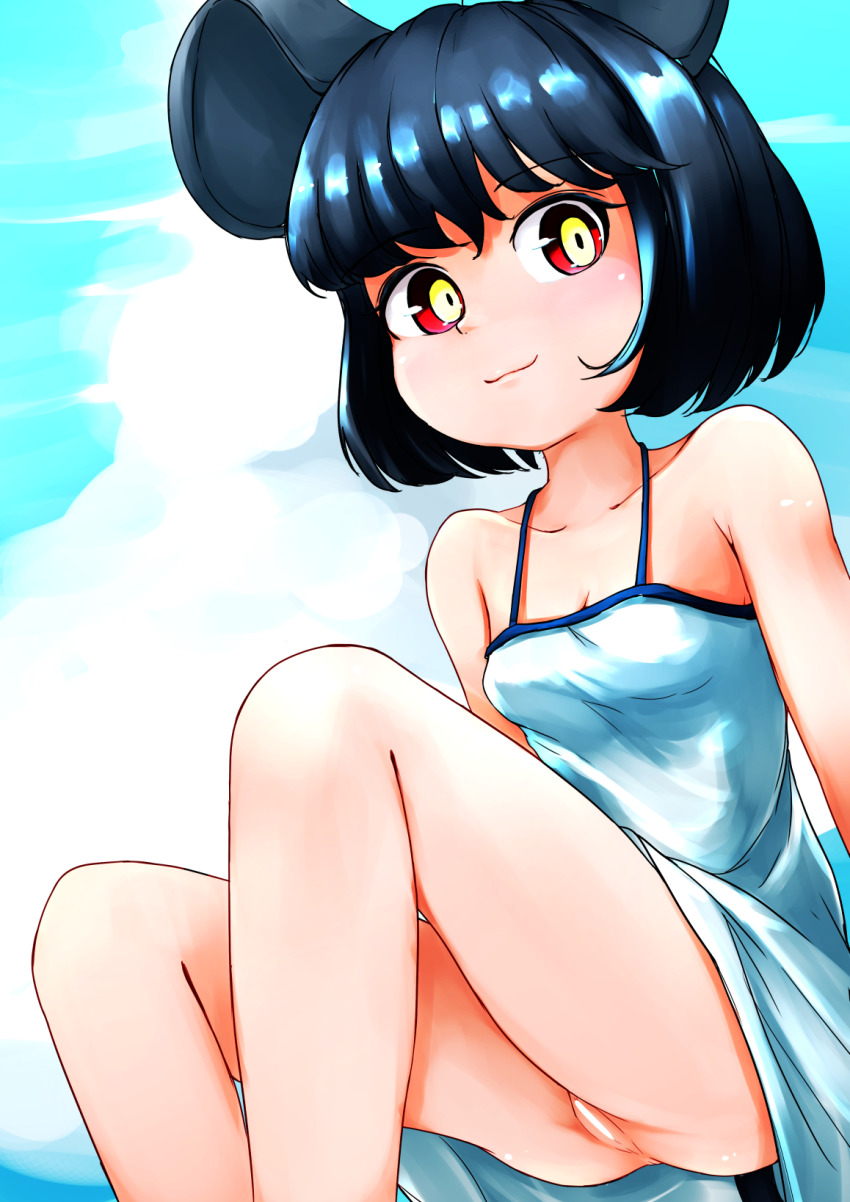 Nazrin (Touhou) Rule 34 Image