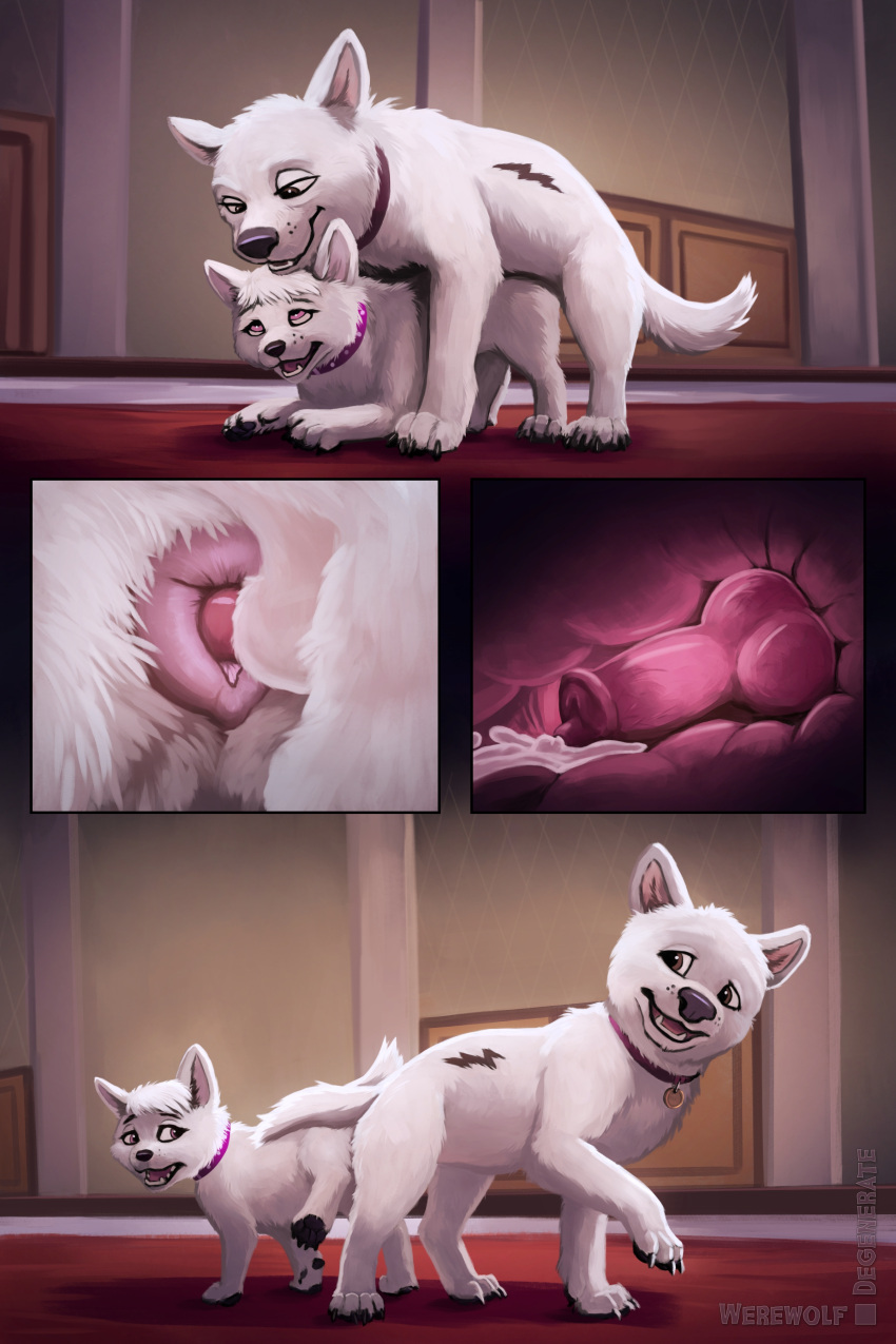 Bolt (Bolt) Rule 34 Image