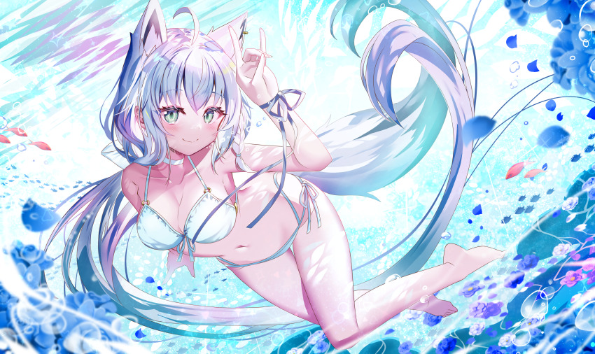 Shirakami Fubuki (Hololive) Rule 34 Image
