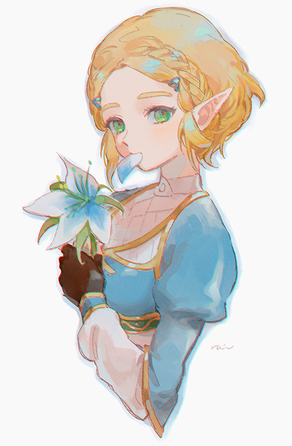 Princess Zelda (Nintendo) Rule 34 Image