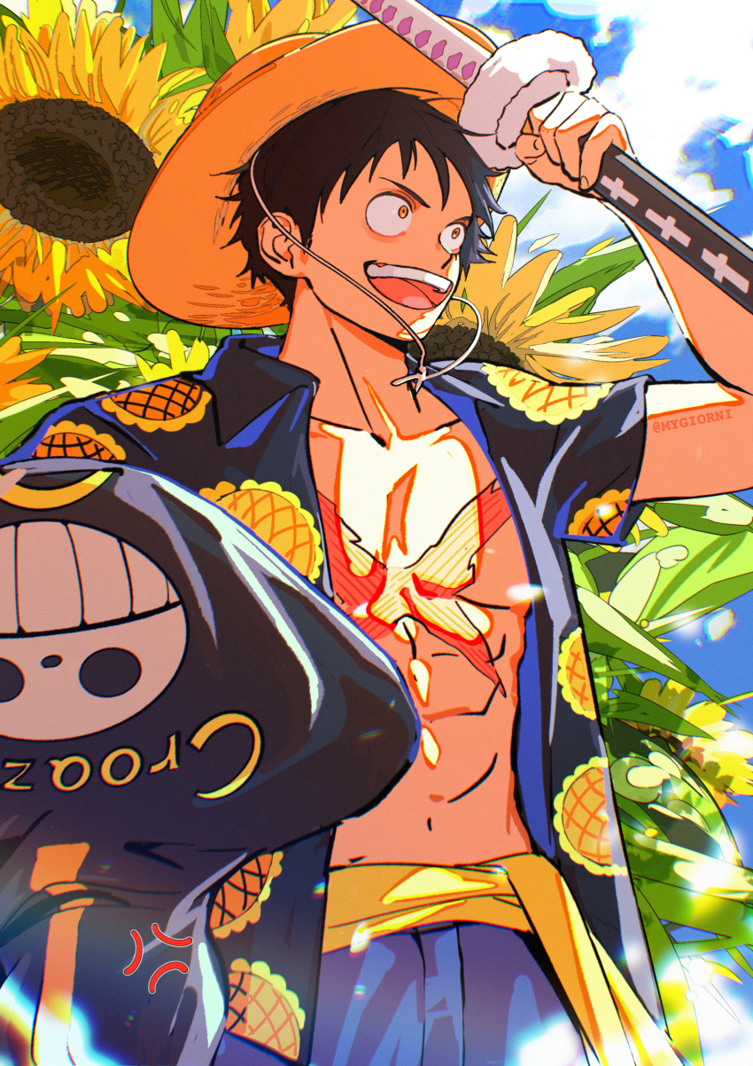 Trafalgar Law (Monkey D. Luffy) Rule 34 Image