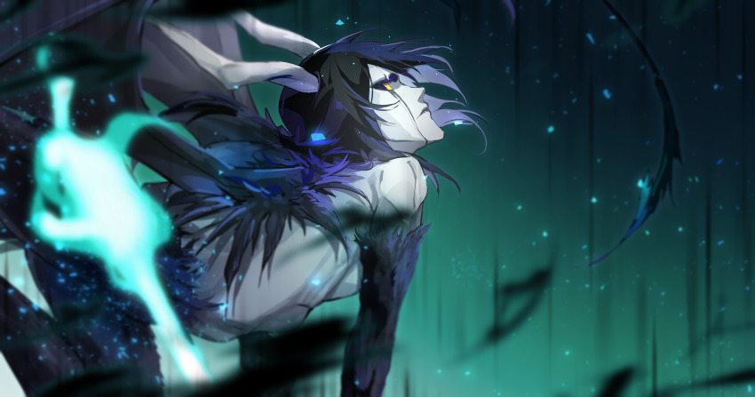 Ulquiorra Cifer (Bleach) Rule 34 Image
