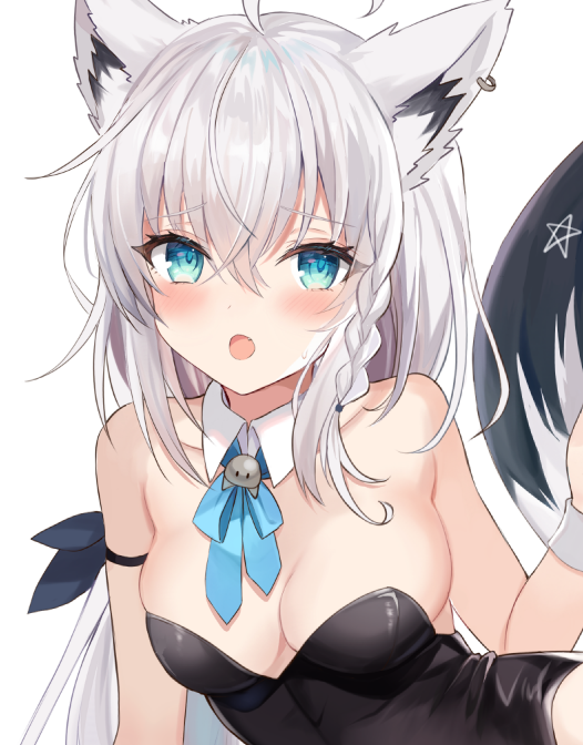 Shirakami Fubuki (Hololive) Rule 34 Image