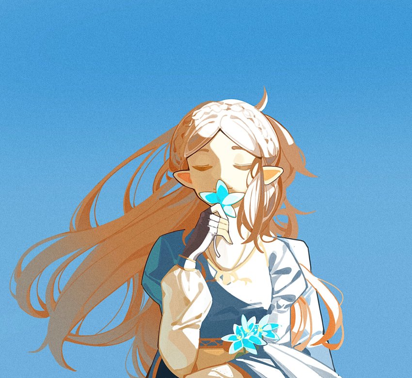 Princess Zelda (Nintendo) Rule 34 Image