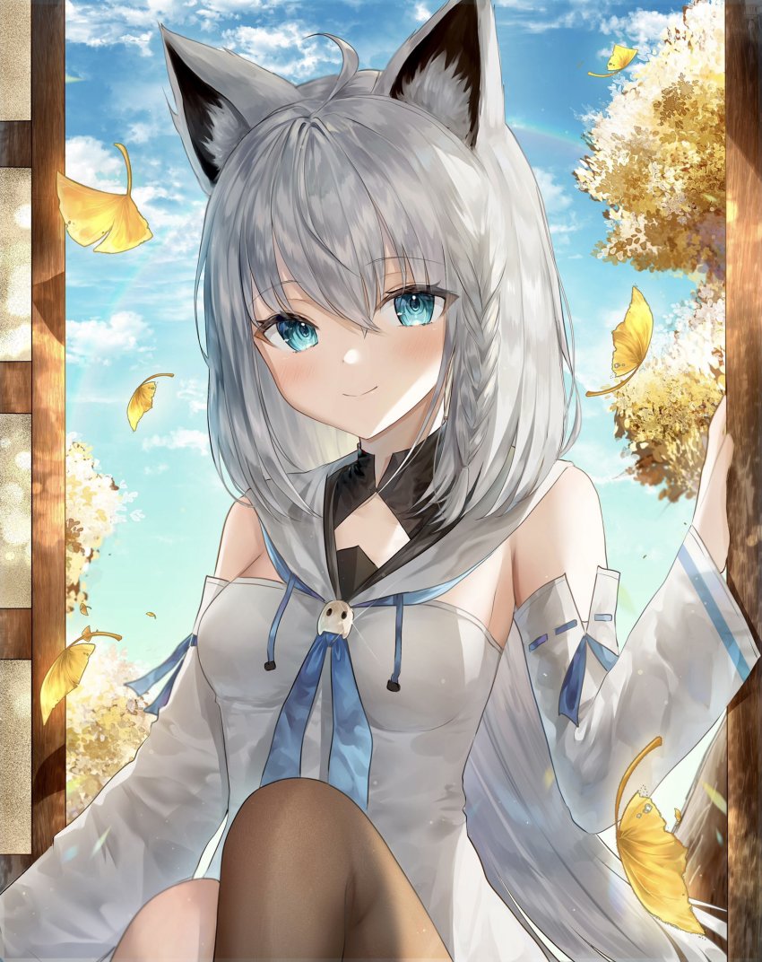 Shirakami Fubuki (Hololive) Rule 34 Image